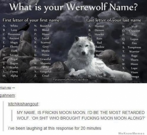 qerwqerw